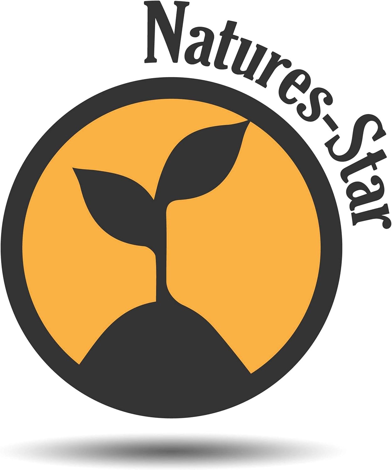 16oz Eucalyptus Essential Oil, Therapeutic Grade, Candle Making, Candle Scents, Soap Making, Aromatherapy Oil - Eucalyptus Scent