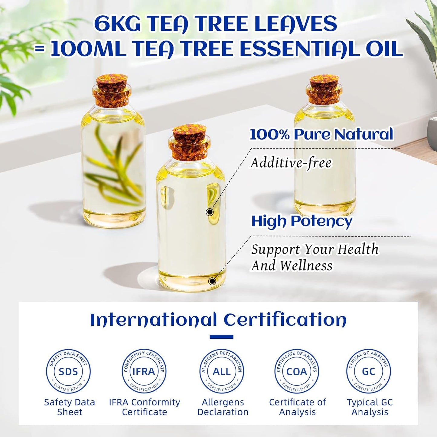 HIQILI Tea Tree Oil for Skin, Hair Restoration, Added to Shampoo, Body Wash, Foot Soak Use - 3.38 Fl Oz