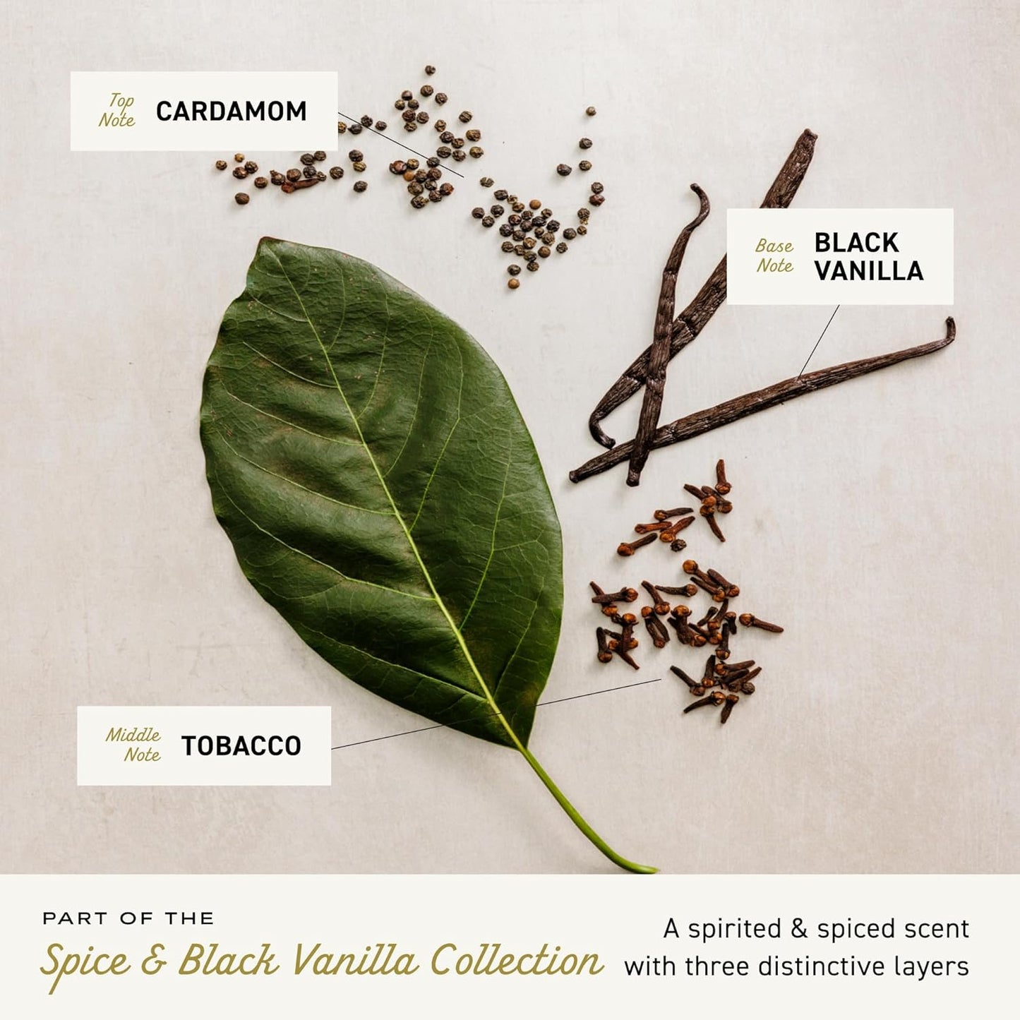 Cremo Rich-Lathering Spice & Black Vanilla Body Wash for Men, Notes of Spices, Dark Woods and Black Vanilla, 32 Fl Oz