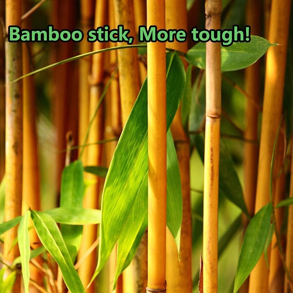 2000pcs Precision Tip Cotton Swabs for Makeup, Bamboo Sticks and Double Pointed