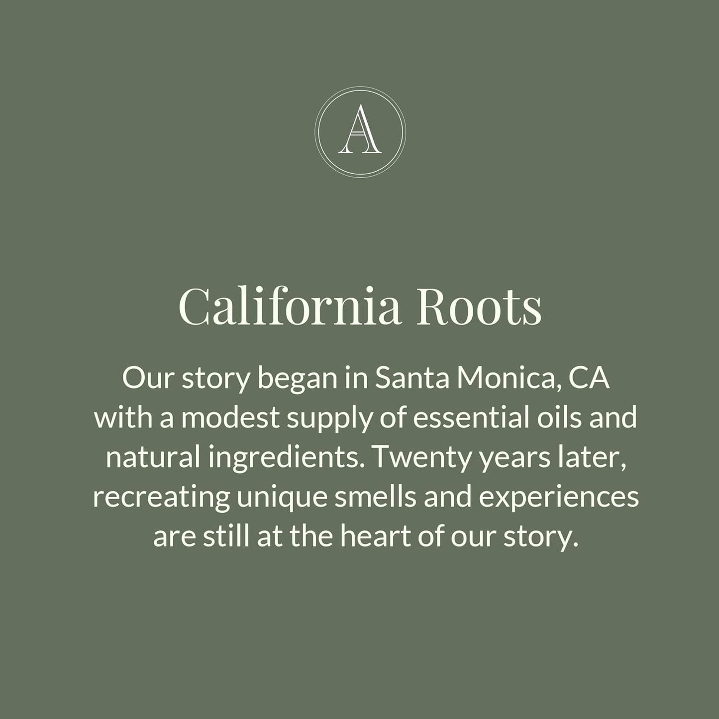 Archipelago Botanicals Black Honey Lotion, Hydrating Body Lotion for Dry Skin, Nourished and Healthy Skin Care, Paraben-Free, Phthalate-Free, 18 oz