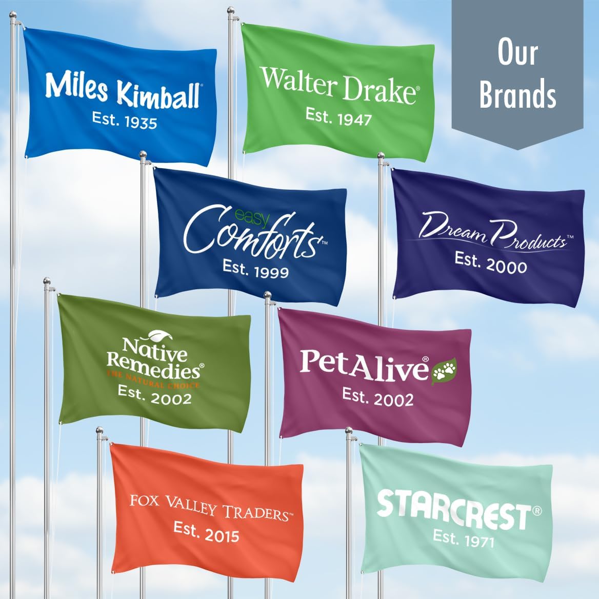 Easy Comforts 14 Day Pill Holder, Travel Case Medication Reminder Pill Box with Detachable Compartments, Tapestry