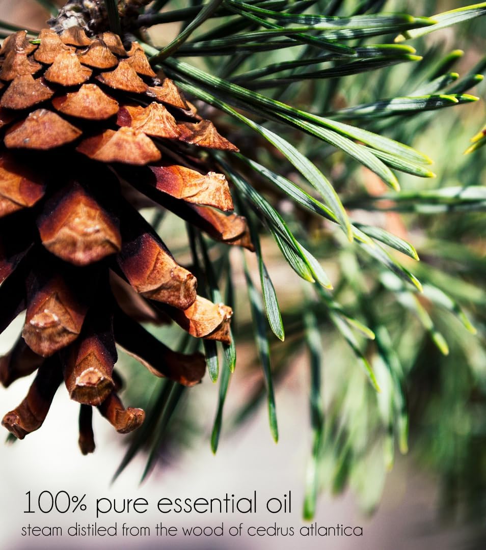 Cedarwood Atlas Essential Oil – 8 fl oz (237 ml) Aluminum Bottle w/Plug Cap – 100% Pure Essential Oil – GreenHealth