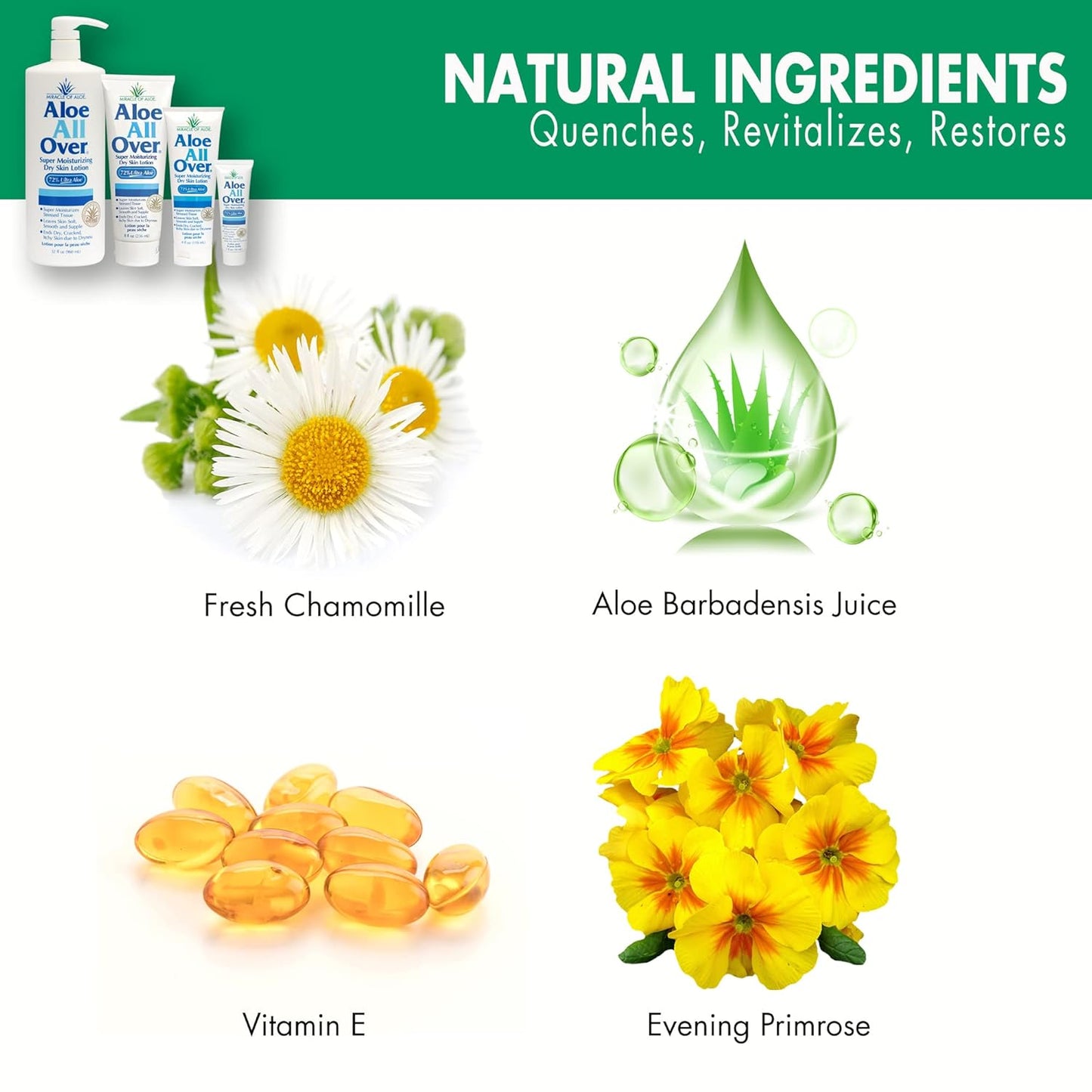 Miracle of Aloe Aloe All Over Super Moisturizing Dry Skin Lotion (3-Pack, 1 oz) - Made with 72% UltraAloe Aloe Vera Gel. Safe for Everyone: Men, Women, Kids. Restores Dry Skin Fast