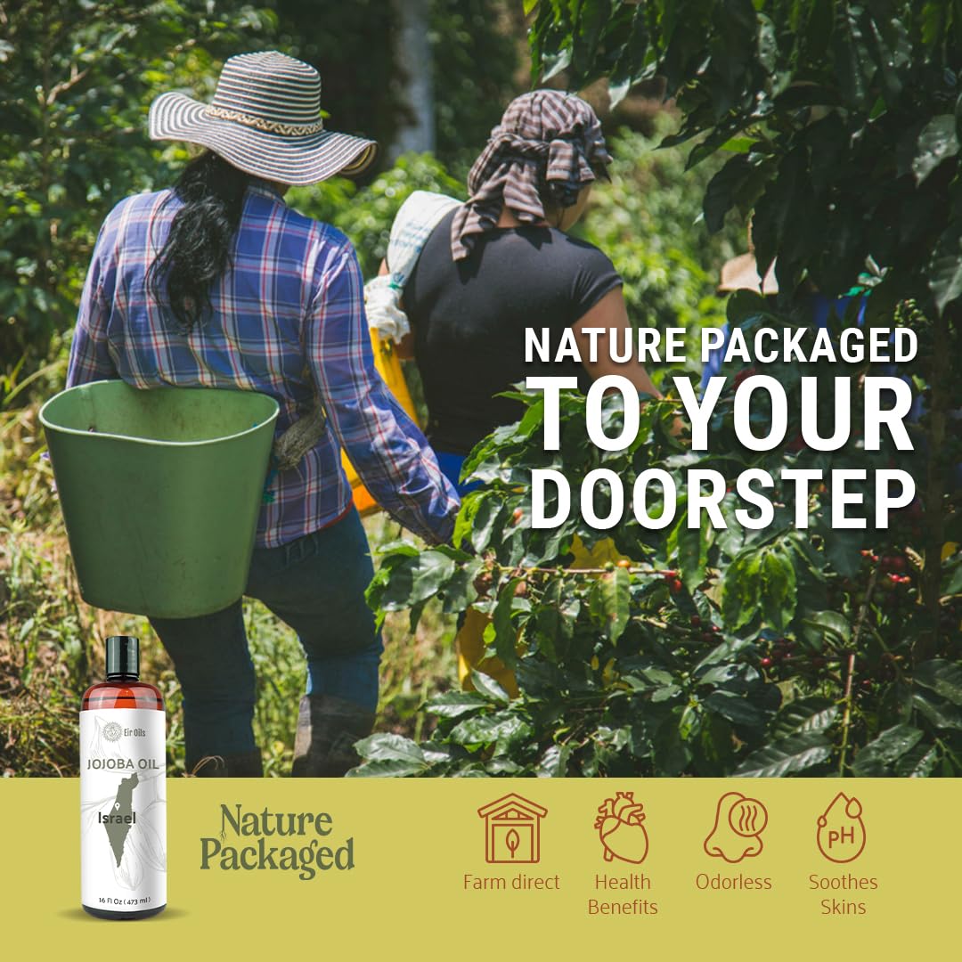 Jojoba Oil - Direct from EIR Oils' Farm in Israel - 100% Pure Carrier Oil for Hair, Face, and Skin - Hand-Picked, Cold-Pressed Carrier Oil (1 Gallon)