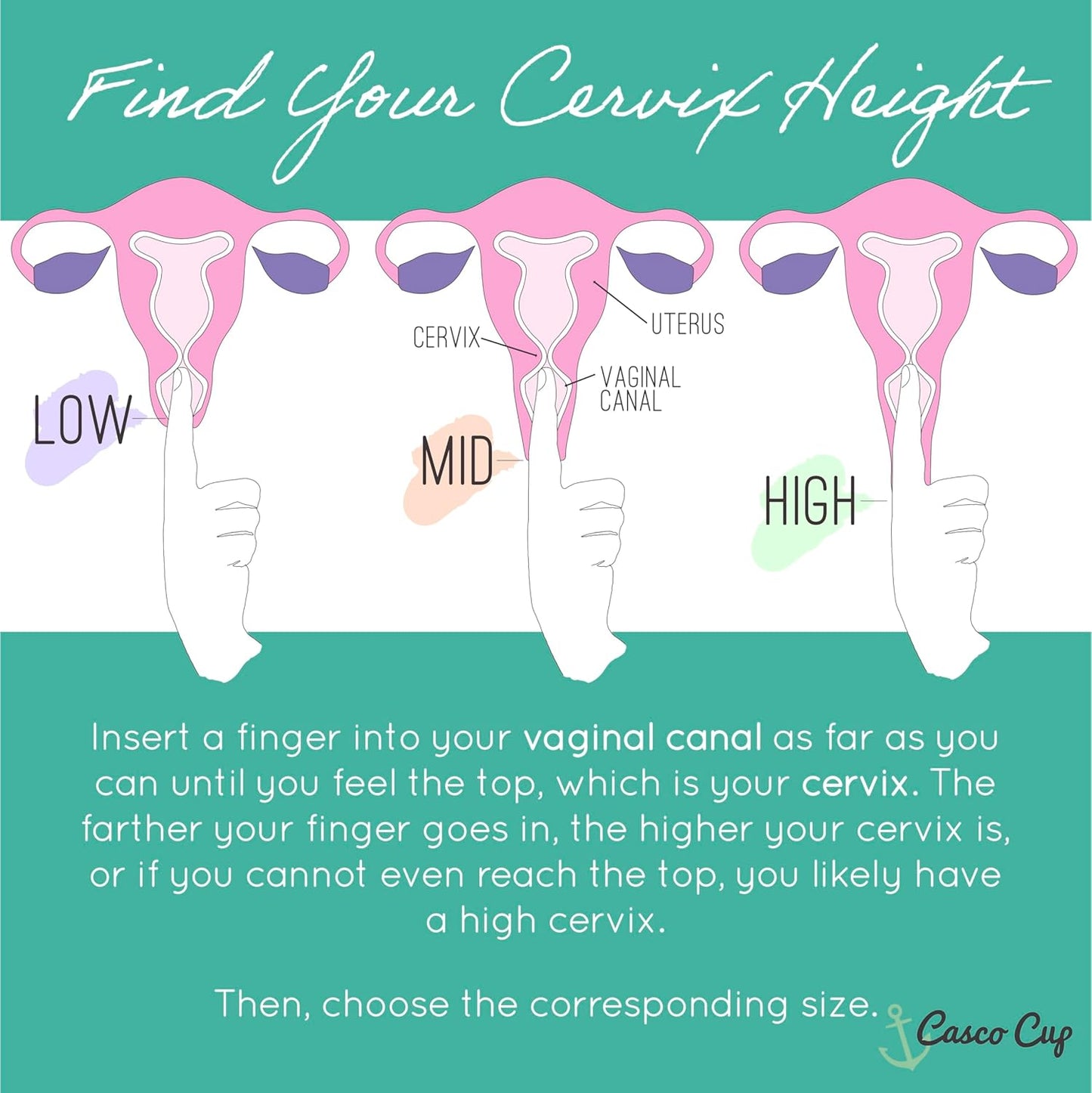 Casco Menstrual Cup & Case - Medical Grade Silicone Period Cup Made in Maine USA, Reusable Menstrual Cup (Mini - Low Cervix)