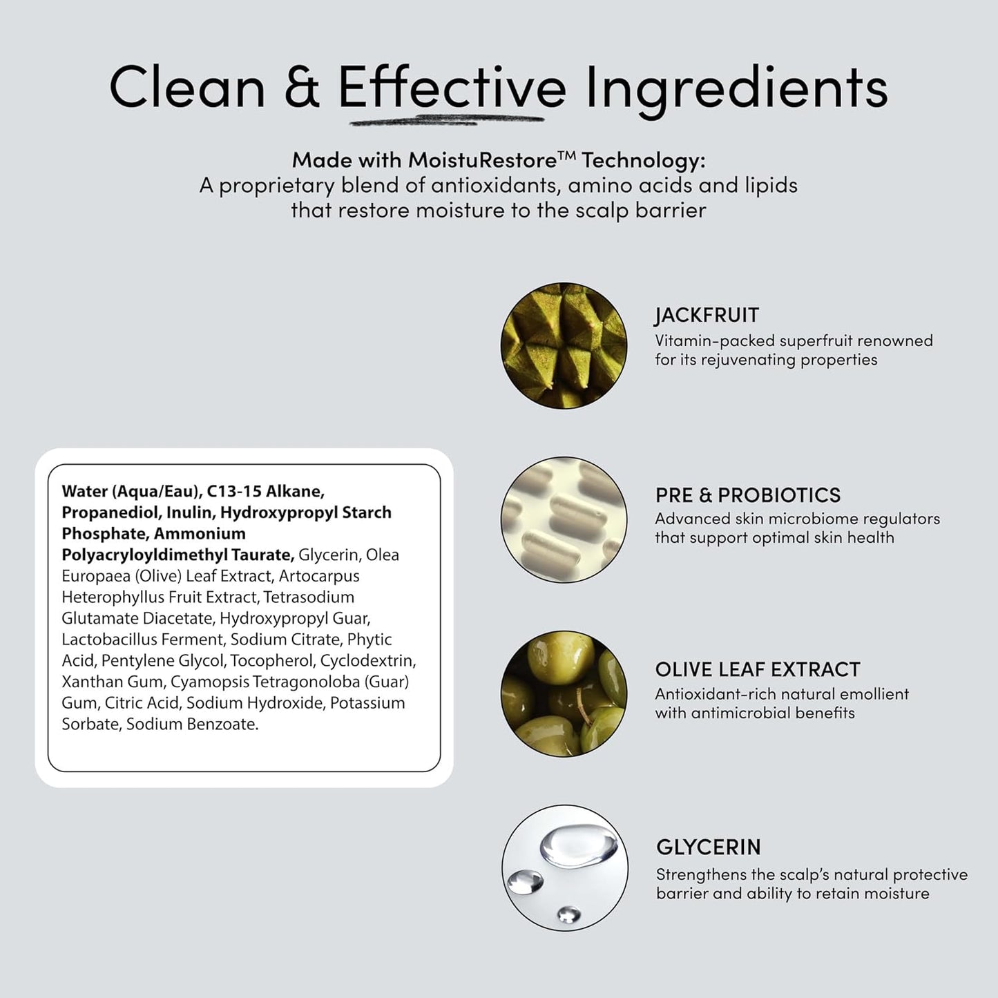 Jupiter Hydrating Scalp Moisturizer – Moisturizing, Nourishing, and Strengthening Hair Care – Daily Scalp & Hair Hydration – Color-Safe, Sulfate-Free, Paraben-Free, 3.4 fl. oz.