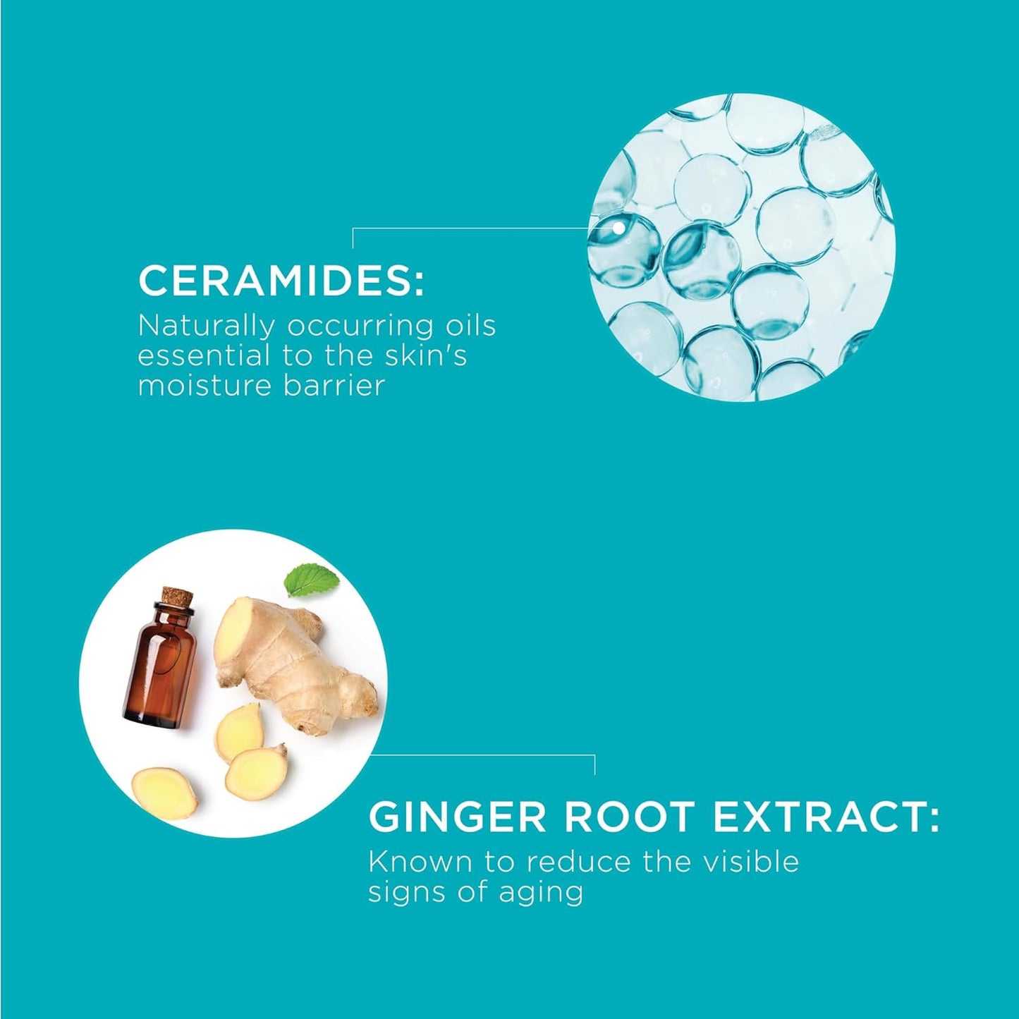 Curel Japanese Skin Care, Anti-Wrinkle Hydrating Serum, Lightweight Serum, Fragrance Free & Colorant Free, For Sensitive Skin, 1.3 Oz