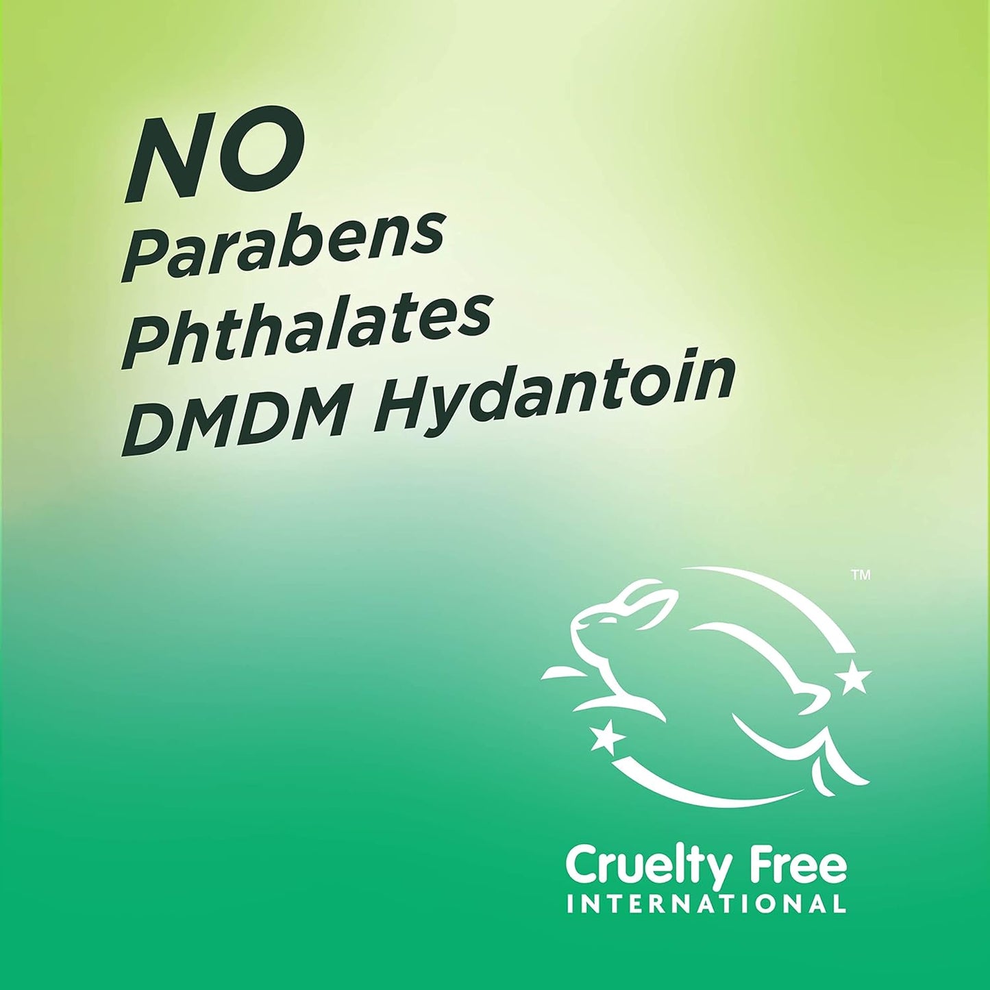 Garnier Fructis Sleek & Shine Leave-In Conditioning Cream for Frizzy, Dry Hair, Plant Keratin + Argan Oil, 10.2 Fl Oz, 2 Count (Packaging May Vary) (Pack of 2)