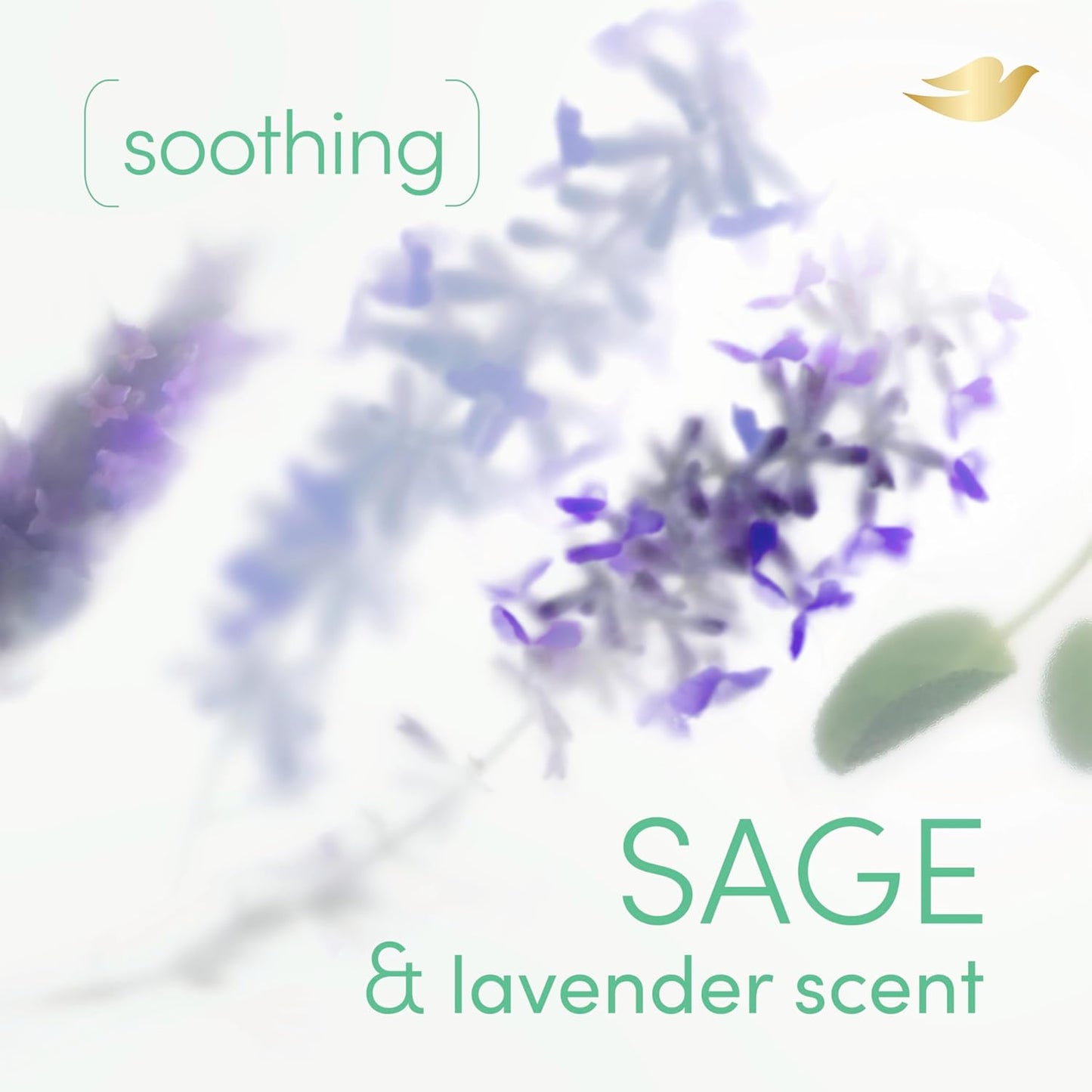 Dove Whole Body Deodorant Cooling Spray Sage & Lavender Aluminum Free 4oz