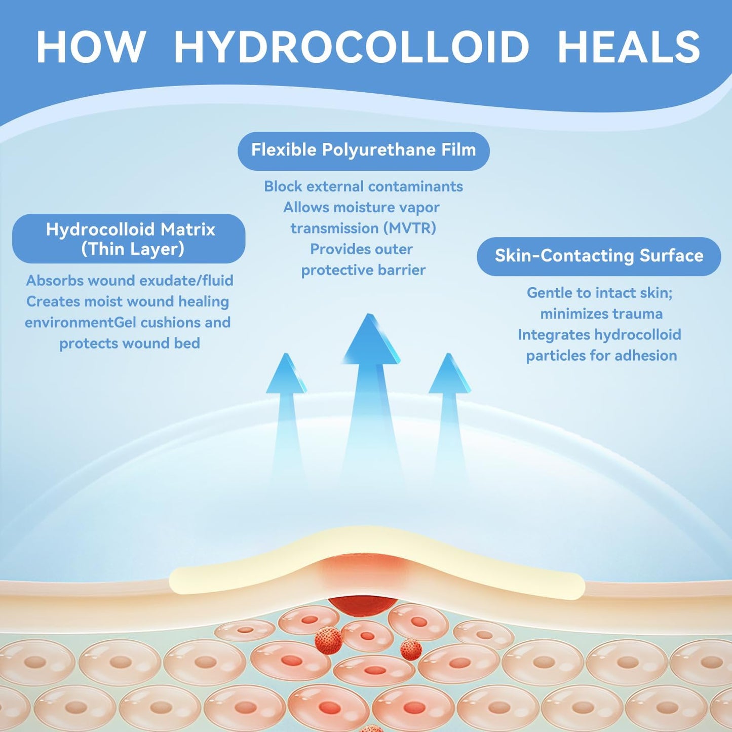 3-in-1 Hydrocolloid Bandage Roll (2" x 16.4 ft) - Sterilized, Waterproof Wound Dressing for DIY Sizing, Latex-Free and Hypoallergenic, Great for Blisters, Cuts & Pimples (2" x 16.4 ft)