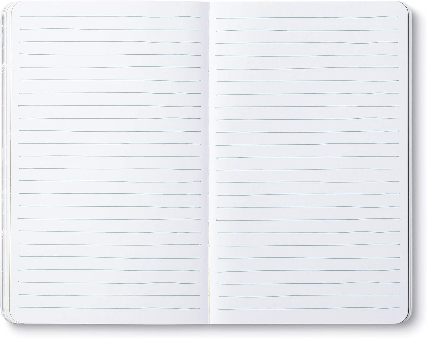 Compendium Softcover Journal - It's not what you look at that matters, it's what you see. – A Write Now Journal with 128 Lined Pages, 5″W x 8″H