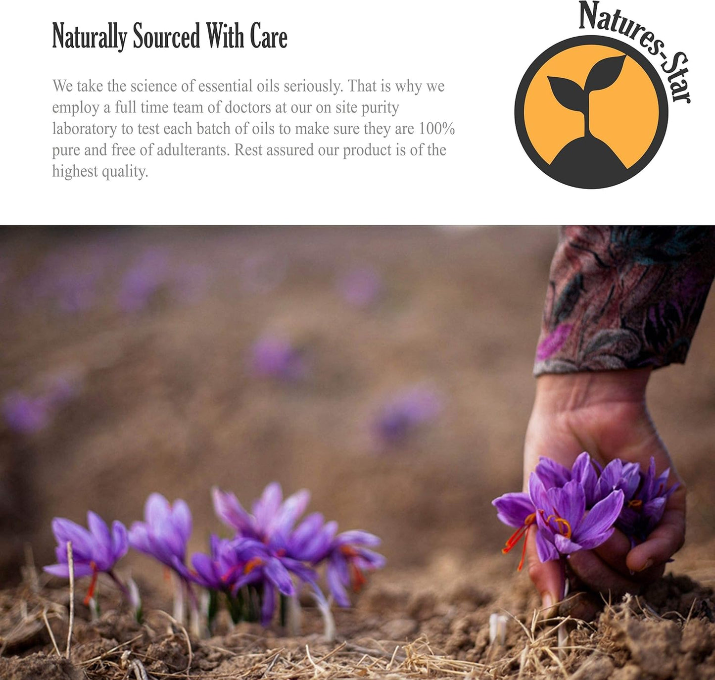 16oz Peppermint Essential Oil (16 Ounce Total), Therapeutic Grade, Peppermint Oil for Diffuser, Candle Making, Aromatherapy