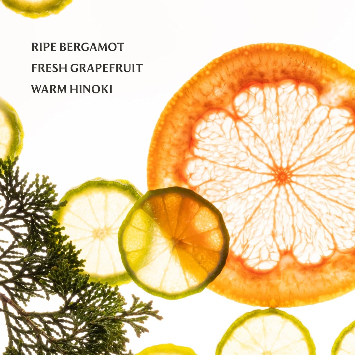 Touchland Power Essence Hydrating Body & Hair Fragrance, Sparkling Bergamot, 2 FL. OZ. Travel Size Body Mist