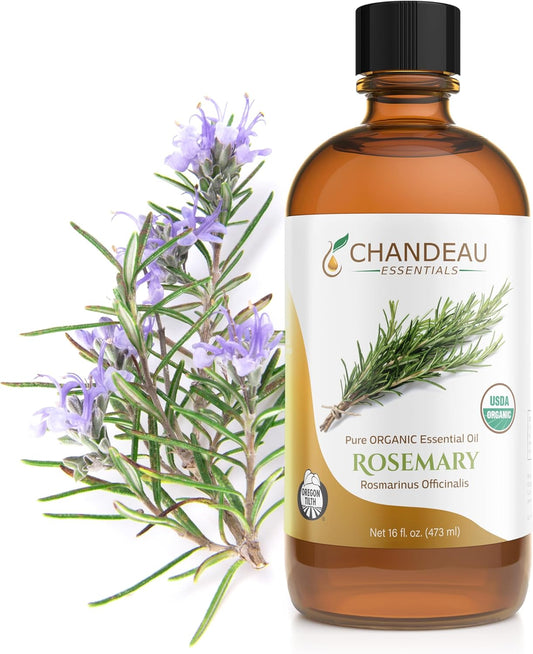 100% Pure Organic Essential Oil, Pure Rosemary Essential Oil for Aromatherapy, Soap Making, Candles, Laundry, Perfume, Cleaners or Diffusers - Large Amber Glass Bottle, 16 oz.