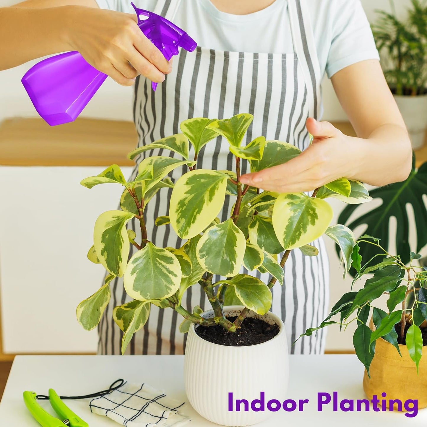 DilaBee (8oz 2-Pack Plastic Spray Bottle - Water Spray Bottle for Hair, Cooking, Cat Training & Cleaning Solution, Plant Misters for Inside & Outside - Spritzer Bottles for BBQ BPA-Free. Blue-Purple