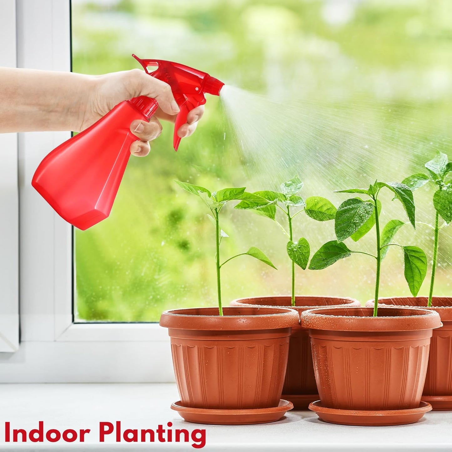 DilaBee Plastic Spray Bottles - 8oz (2 Pack) Water Spray Bottle for Hair, Gardening, Grilling & Cleaning Solution - Empty Spray Bottles for Pet Correction - Spray Bottle BPA Free (Blue-Red)