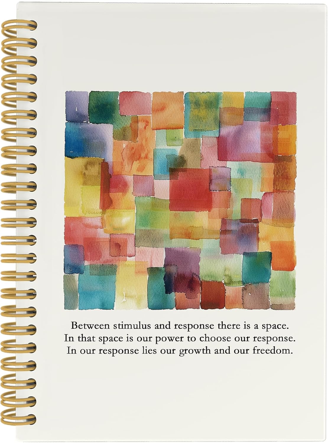 Psychology Therapist Mental Health Journal Notebook, School Psychologist Gifts, Speech Therapist Gift, School Counselor Hardcover Spiral Notebook 5.5x8.3 Inch