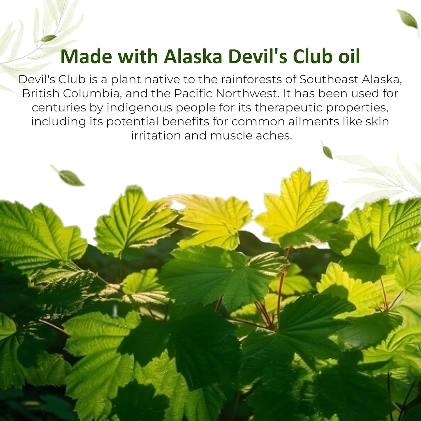 Devil's Club Foot Care Duo - All-Natural Foot Scrub & Foot Cream Set - Hydrating Foot Care Solution with Refreshing Scent & Handcrafted, Alaskan-Made Ingredients