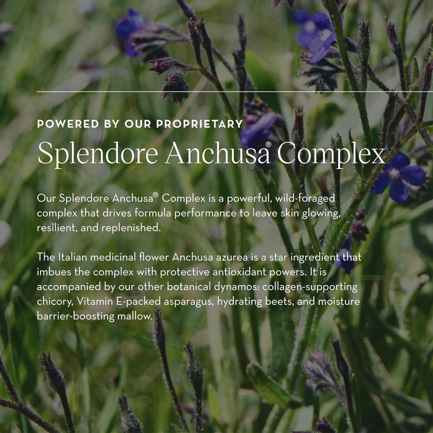 Furtuna Skin Micellar Cleansing Essence Water - Dual-Use Cleanser & Toner, Nutrient-Rich, pH Balanced, Organic Botanicals, Dermatologist Approved