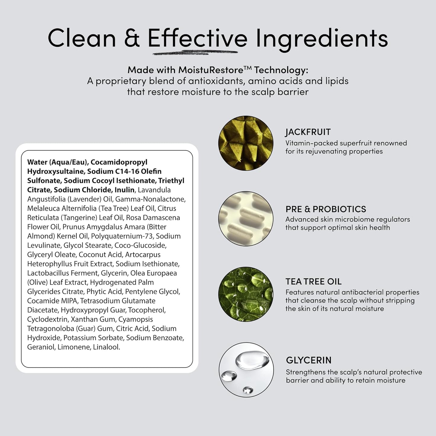 Jupiter Hydrating Shampoo – Moisturizing, Nourishing, and Strengthening Hair Care – Smooths, Revives, Enhances Shine – Color-Safe, Sulfate-Free, Paraben-Free, 9.5 fl. oz.