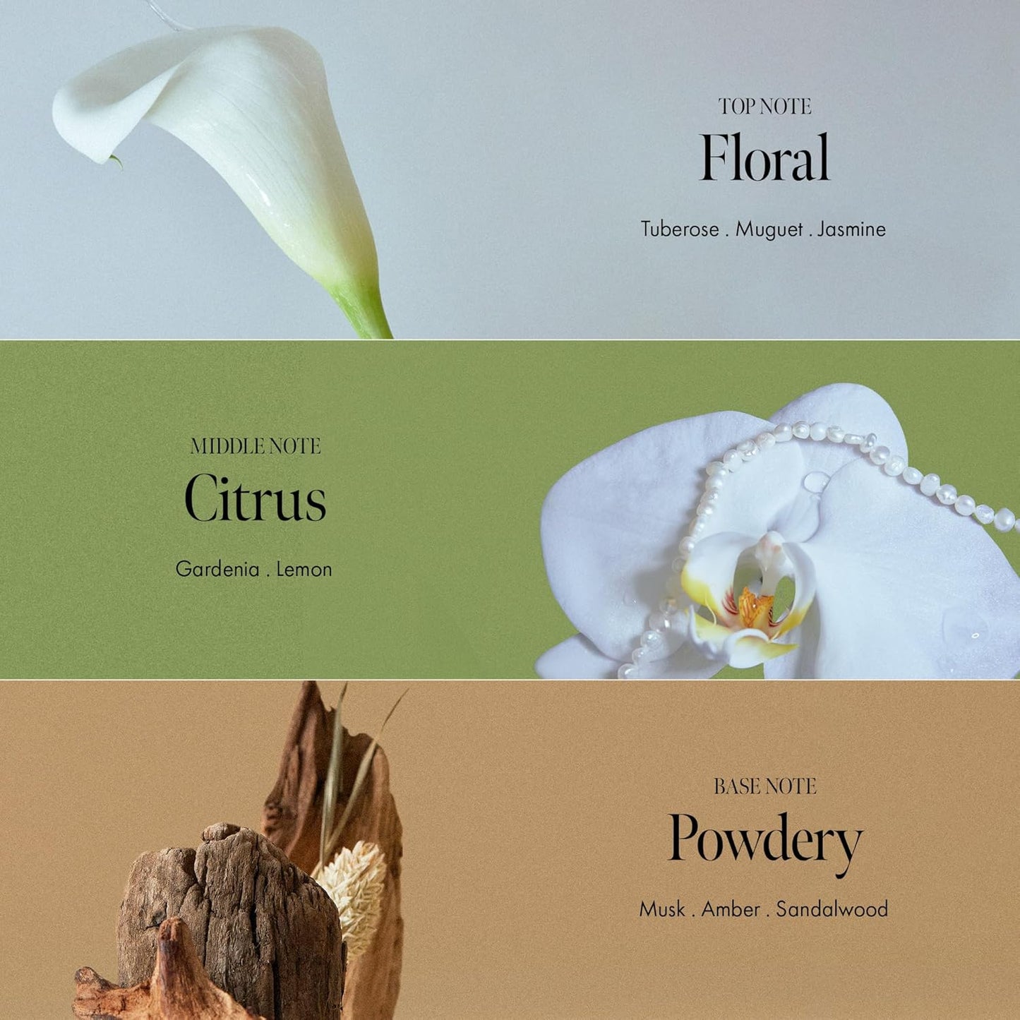 Gardenia Veil Color Shield Hair Essence – Lightweight Leave-In Treatment for Color-Treated Hair – Shine Boost, Damage Repair, Color Fixing System, Floral Scent – (50ml / 1.69 fl. Oz)